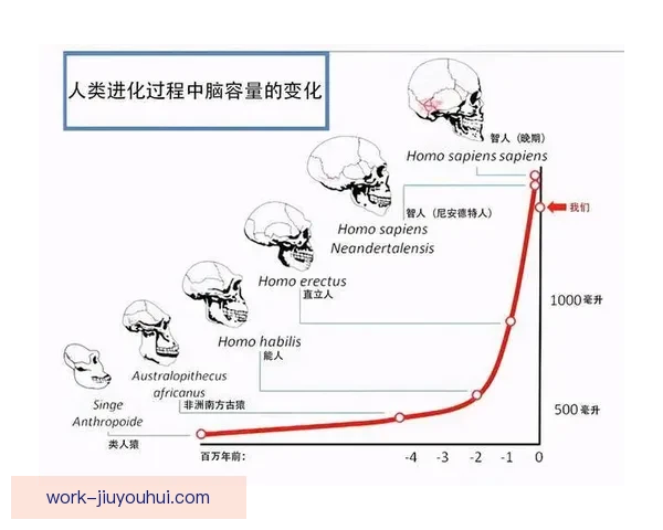 从速度爆点到决策进化的维尼修斯技术特点再解析与价值评估体系适配
